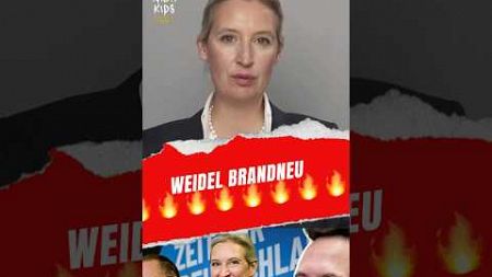 ❌DAS MUSST DU SEHEN❌ #weidel #politik #afd #alternativefürdeutschland #bundestag #spd #merz #scholz