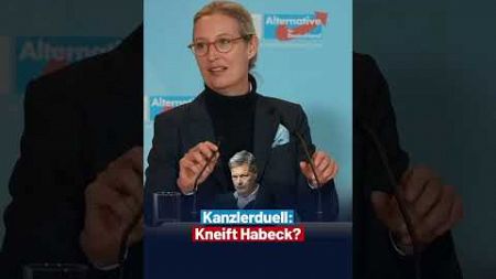 Talkshows wollen Weidel nicht einladen #afd #politik #deutschland #cdu #ampel #spd