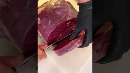 解决15斤漂亮肉肉，宠物备餐 喂狗 养狗 声控解压 解压 强迫症的日常