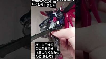 あまりにもかっこよすぎたんですデスティニーガンダムレビュー