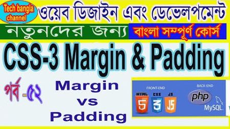 CSS Margins and Padding | CSS3 Tutorial For Beginners | Part 52