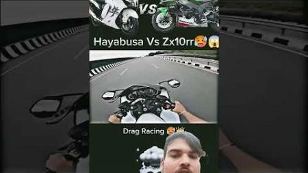 Hayabusa V/S ZX10rr🤔 #automobile #ninja #motovlog #h2r #motogp #race #zx10r #stunt #hayabusa #kawasa