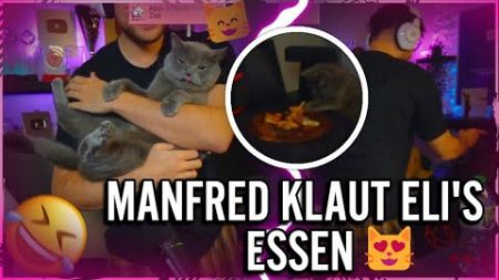 MASTFRED KLAUT ELI WIEDER DAS ESSEN UND HAUT AB! 🤣😻