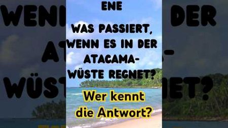 Wer kennt die Antwort? #urlaub #beach #quiz #travel ##reisen #reise #reisetipps