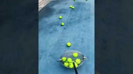 Tennis Mate: The Best Ball Collector for Players #smalleyes #funny #smallball #tennisball