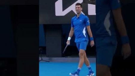 #tennis #ausopen #sports #australianopen #funny #novakdjokovic #fyp #ytshorts #short