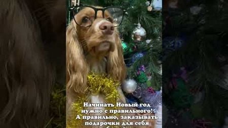 WB: 217883790 Воск для лап 🐾🎄 #косметикадлясобак #питомцы #домашниепитомцы #новыйгод #собаки