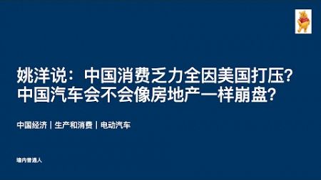 姚洋说：中国消费乏力全因美国打压？中国汽车会不会像房地产一样崩盘？｜中国经济｜生产和消费｜电动汽车