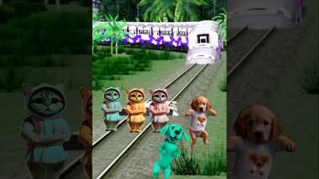 Cute dog beby stop train by dance #trending #cute #cat #trendingshorts #dance #train #funny