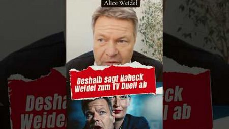 ❌DAS MUSST DU SEHEN😳😱❌ #weidel #politik #habeck #afd #bundestag #spd #merz #scholz #cdu #lindner