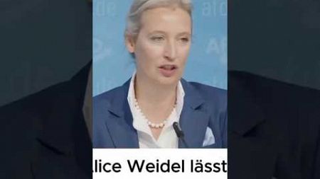 💥Sehr gut aufgestellt 💥#herbertkickl#aliceweidel#österreich#politik#shortsfeed