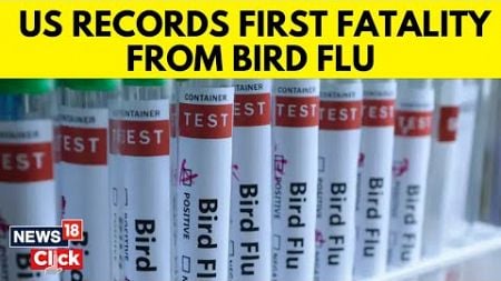 Bird Flu | US Records 1st Human Bird Flu Death, Expert Says &quot;Virus Can Be Lethal&quot; | US News | N18G