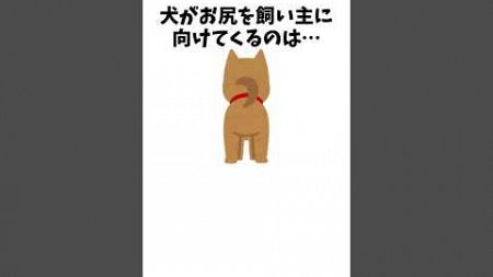 犬が心からリラックスして甘えている仕草　#犬 #ペット #雑学