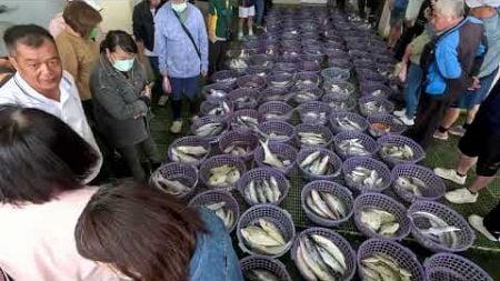 拍賣場 直出零售價 Funny auction for seafood selling, 龍鳳漁港 #freshseafood #netting 6