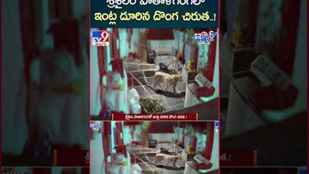 iSmart News : శ్రీశైలం పాతాళగంగలో ఇంట్ల దూరిన దొంగ చిరుత..! - TV9