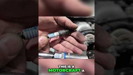 Why Are My Spark Plugs SO WET !