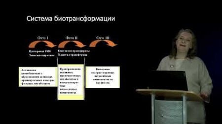 1 Системный подход в обосновании механизмов взаимодействия генотипа, фенотипа и среды Часть 1