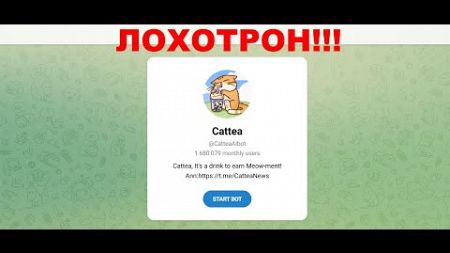 Cattea — отзывы про игру в тг. Есть вывод заработка?