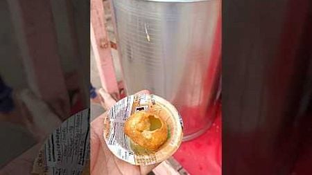 ग्लव्स 🧤 पहनो पानीपुरी🤤 बेचो #minivolgs #panipuri #food #video #minivolg #indianstreetfood #ytshorts