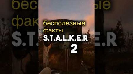 СТАЛКЕР 2 Бесполезные Факты ▶️Игроинфа вНесколько Секунд #видеоигры #новостиигр #stalker2 #сталкер2