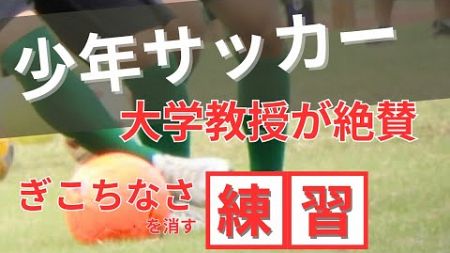 【非常識な少年サッカー上達法】大活躍を実現する３つの手順を全出し！！（細かな工夫・再現性の秘密公開）