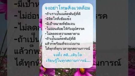 จงอย่าโทษสิ่งแวดล้อม #บทความดีๆ #ฮีลใจ #mindset #คำคมสร้างแรงบันดาลใจ