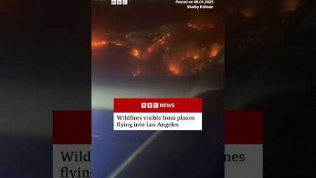 Wildfires have been raging in the suburbs of Los Angeles. #LosAngeles #Wildfires #BBCNews