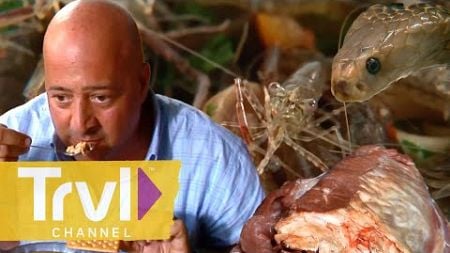 Top 5 Most Bizarre RAW Meals | Bizarre Foods with Andrew Zimmern | Travel Channel