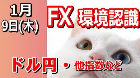 【TAKA FX】ドル円他各通貨の環境認識解説。各種指数、GOLDなど　1月8日(水)