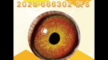 【萬教鴿舍--拍賣鴿8】2025-666302 灰♂｜鴿眼