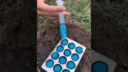 Survival Skills: SMART idea andUSEFUL#bushcraft#camping#outdoors