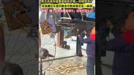 男子去修車結果底板拆開那一刻被驚呆了，老鼠藏在車裡的糧食盡數掉落足有一麻袋，老鼠：攢了一年的糧食沒了，這年可怎麼過！