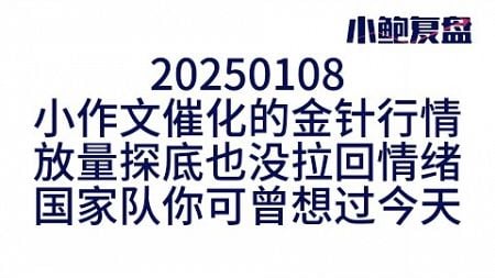 【小鲍复盘】20250108，依然是金融动荡的市场预期