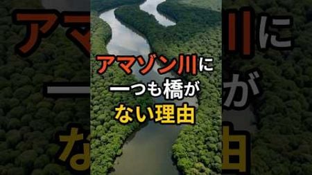 アマゾン側に1つも橋がない理由 #旅行 #世界 #地理 #雑学 #旅 #海外旅行 #海外