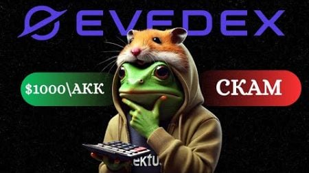 Тестнет EVEDEX, Биржа, Которая Украдет твою Криптовалюту? Отзывы и Обзор EVEDEX от &quot;Разоблачителей&quot;