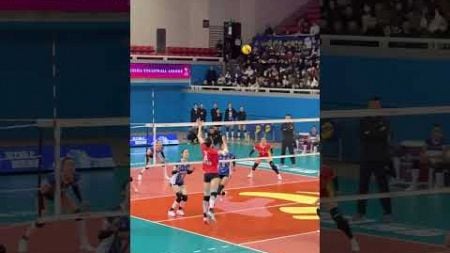 吴梦洁二直线进攻好清晰。 #volleyball #volleyballworld #體育 #排球