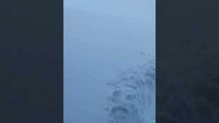 Dog Tries to Barrel through Deep Snow