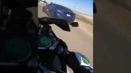 #kawasaki #ninja #h2 #vs #tesla #car #road #race #shorts #arf #motogp #vibe @arfvlog