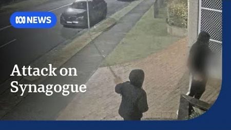 Another anti-Semitic graffiti attack as Sydney synagogue targeted | ABC NEWS