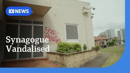 Allawah synagogue in southern Sydney vandalised in &#39;horrifying&#39; incident | ABC News