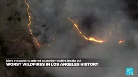 Wildfires continue to ravage Los Angeles • FRANCE 24 English