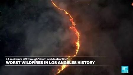 Los Angeles residents exposed to increased health risks due to wildfires • FRANCE 24 English