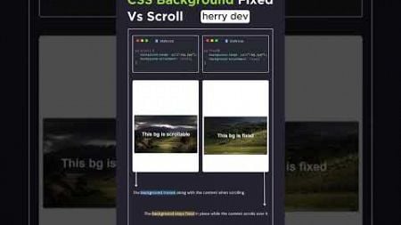 🌍 CSS Background Fixed vs Scroll 2025! 💻✨ | Ultimate Design Comparison with JS
