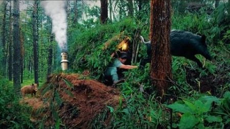 SOLO CAMPING MEMBANGUN GUBUK SEDERHANA UNTUK MELINDUNGI DIRI DARI SERANGAN BABI HUTAN