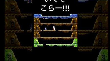 白熊（定期）!!! #レトロゲーム #ファミリコンピューター #ファミコン #ゲーム #ファミリーコンピュータ #昭和