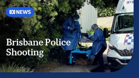 Man shot twice in the stomach after lunging at police officers in Brisbane | ABC News