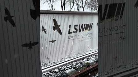 Wir erleben im Winter gemeinsam Ruhe und Produktivität in unserem Büro! ❄️#WinterSeason #LSW