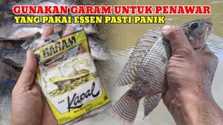 BARU TAU‼️TERNYATA GARAM SANGAT AMPUH UNTUK MELAWAN ESSEN