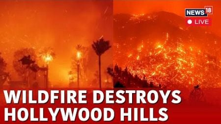 Hollywood Hills Fire LIVE | Los Angeles Fire Kills At Least 10 | California Wildfire | N18G