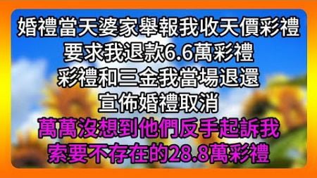 【有聲完結故事】「你收了天价彩礼，犯法了！」婚礼当天，婆家报警举报我，要求退还6.6万彩礼。彩礼全退，婚礼取消，可他们不罢休，竟起诉我返还虚构的28.8万彩礼！| #為人處世#生活經驗#情感故事#養老